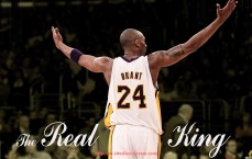 24VS体育直播-世俱杯球鞋柔韧度参数对比及材料性能研究