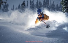 24VS体育直播-世俱杯球队比赛节奏变化趋势与技术分析